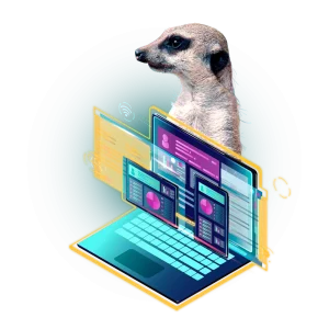 Suricato Software 1.webp